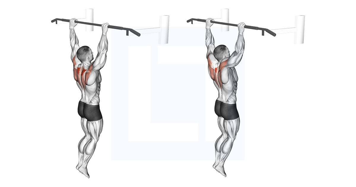 Hanging Scapular Shrug