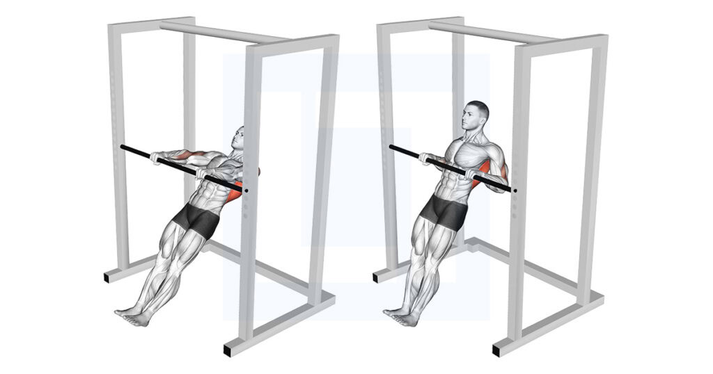 High Bar Inverted Row: Upright Body Row