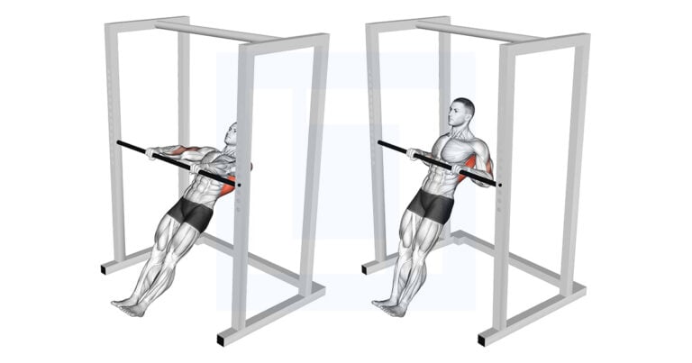 Inverted Rows Vs Body Rows High Bar Inverted Row: Upright Body Row