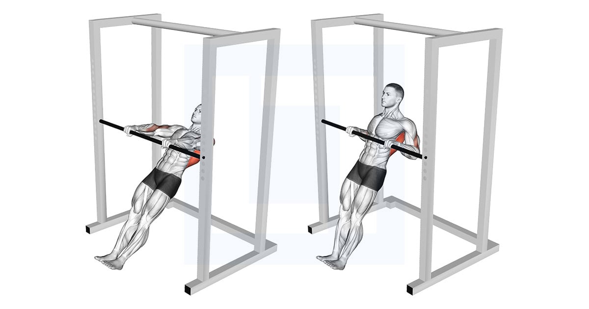High Bar Inverted Row
