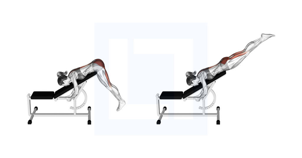 Incline Reverse Hyperextension: Glute and Lower Back Builder