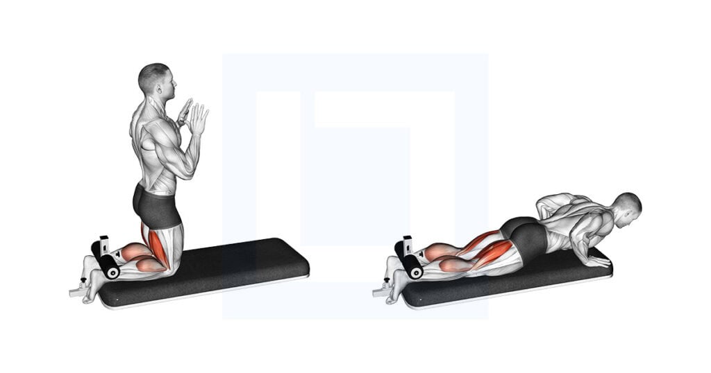 Inverse Leg Curl With Bench Pads