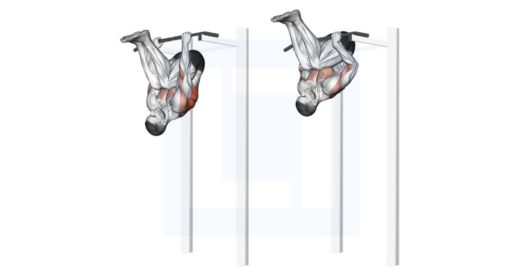 Inverted Row II: Bodyweight Row Variation