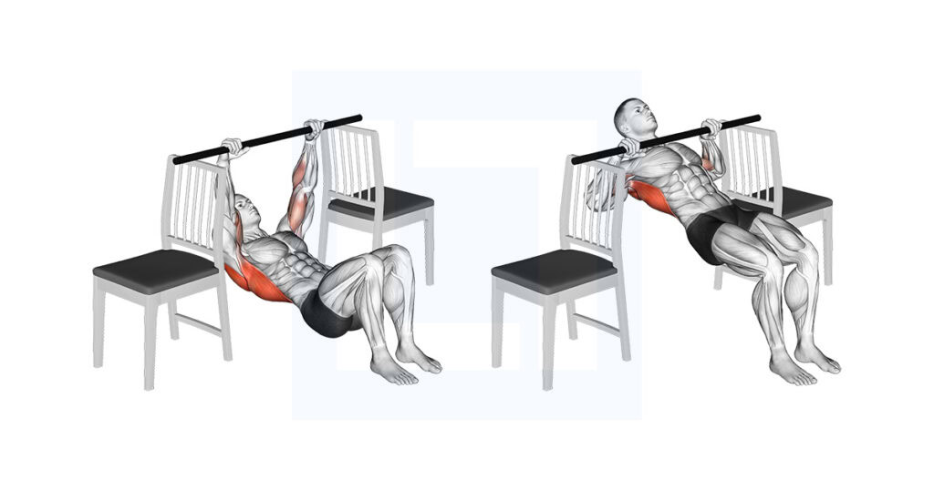 Inverted Row Bent Knee Between Chairs
