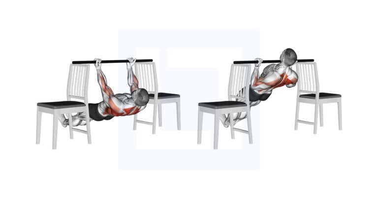 Inverted Underhand Grip Row Between Chairs