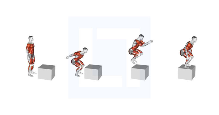 Jump on Fit Box Exercise Guide