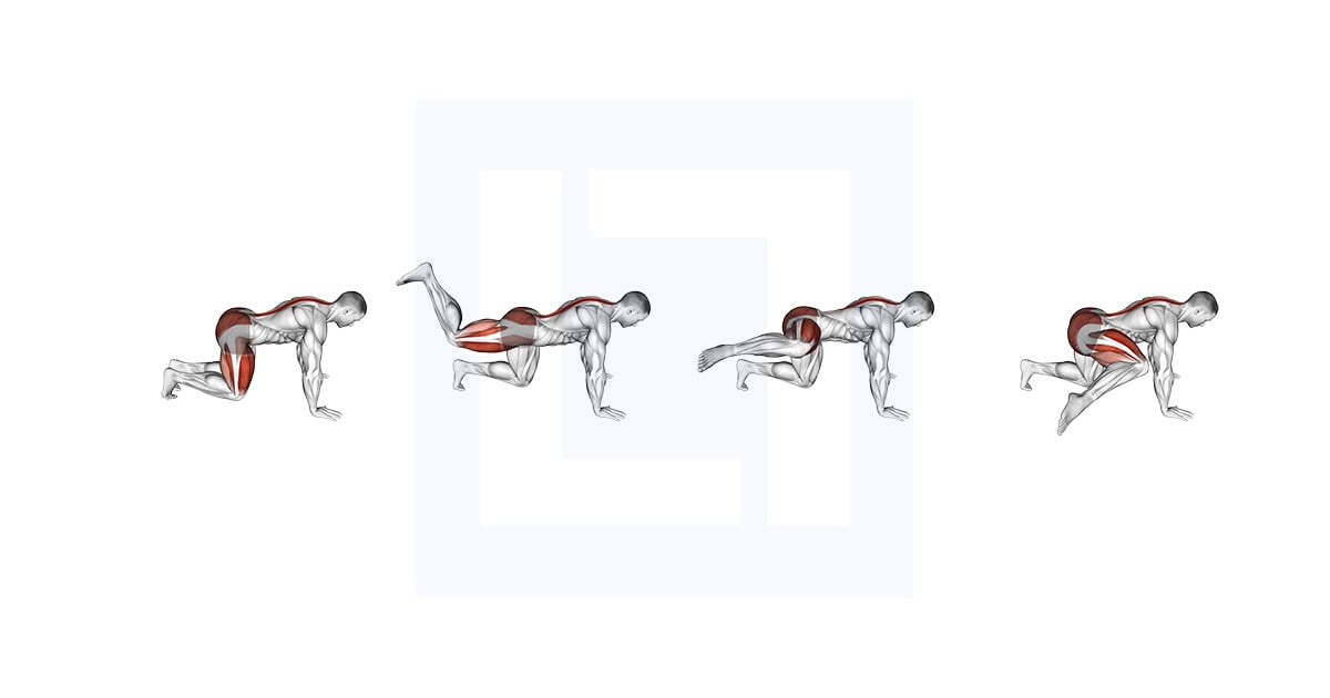 Kneeling Forward Hip Circles