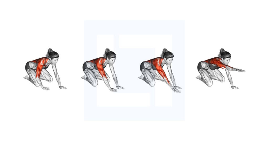 Kneeling One Arm Reach Roll Lift