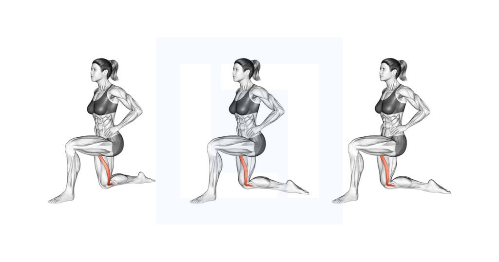 Kneeling Sartorius Stretch