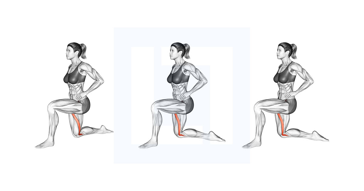 Kneeling Sartorius Stretch