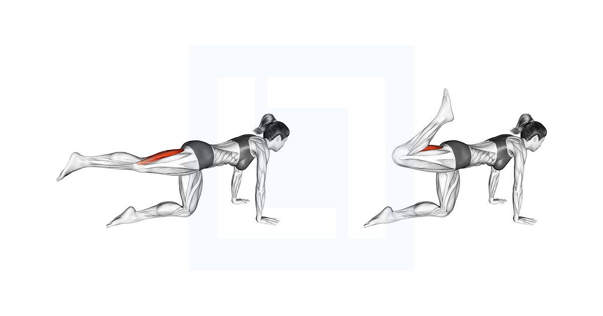 Kneeling Single Hamstring Curl