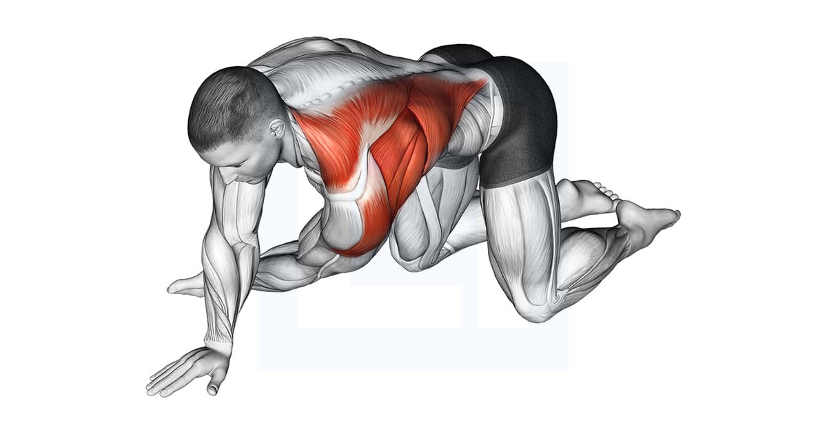 Kneeling T Spine Mobility Stretching