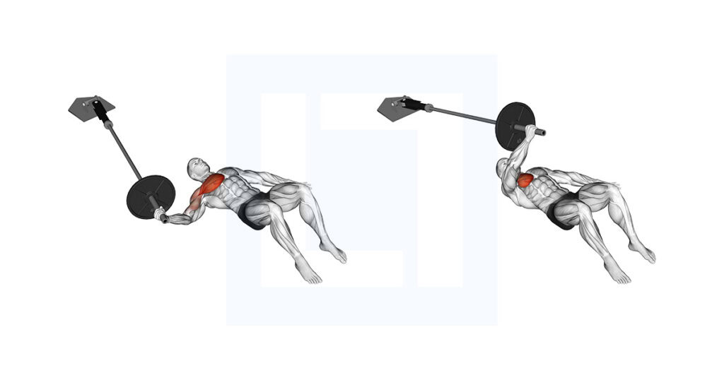Landmine Floor One Arm Chest Fly Guide
