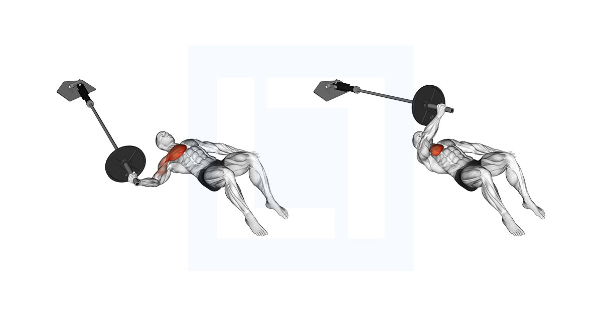 Landmine Floor One Arm Chest Fly
