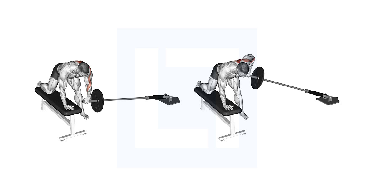 Landmine One Arm Bent Over Bench Row