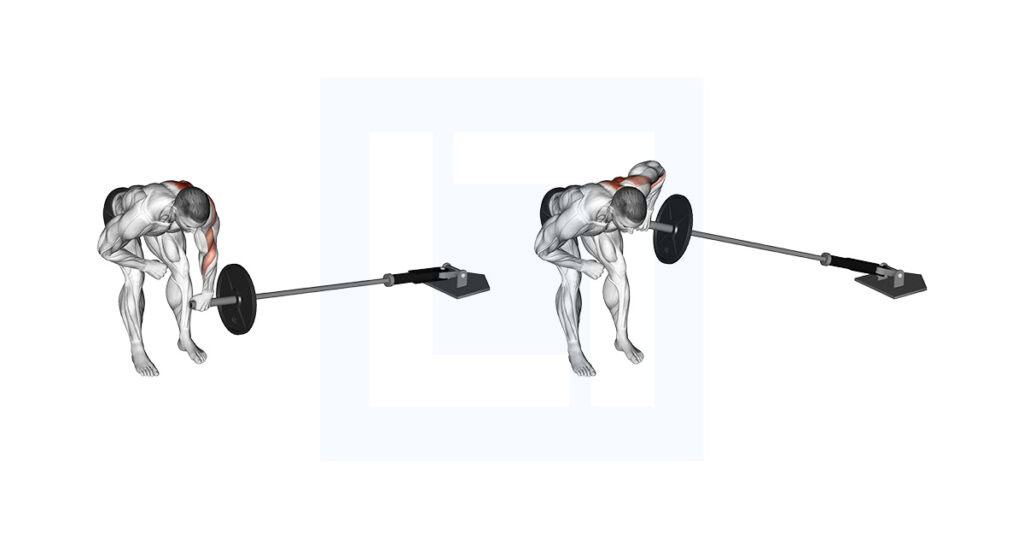 Landmine One Arm Bent Over Row Guide