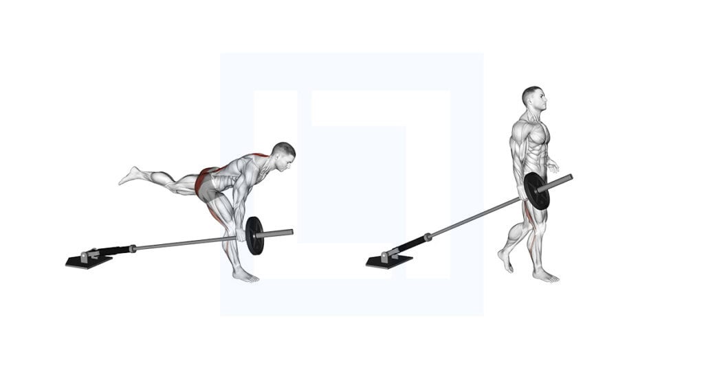 Banded Barbell Romanian Deadlift: RDL with Bands