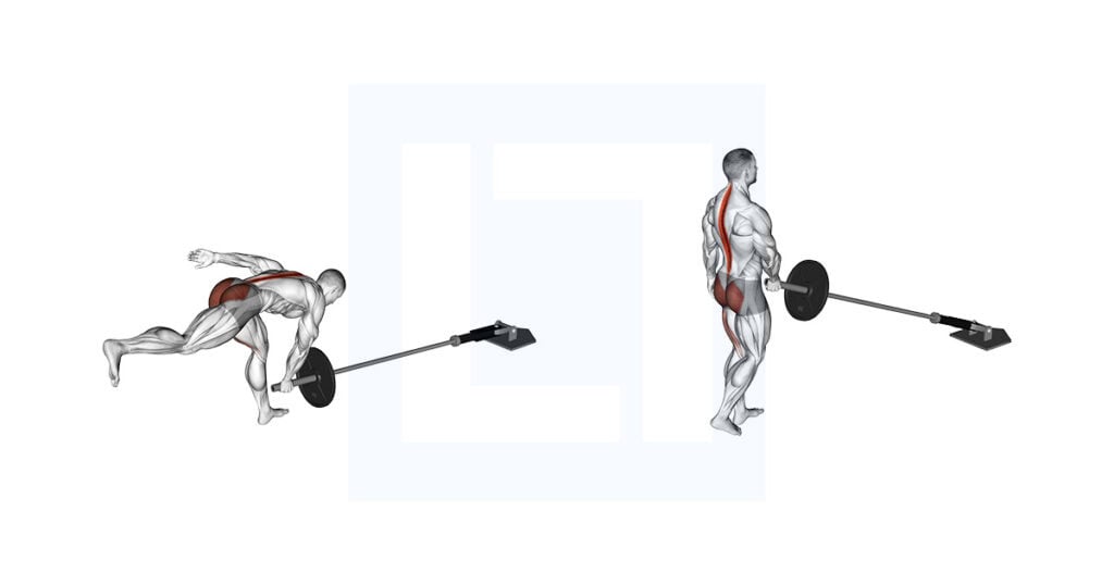 Single Rdl Form Landmine Single Leg RDL Exercise Guide