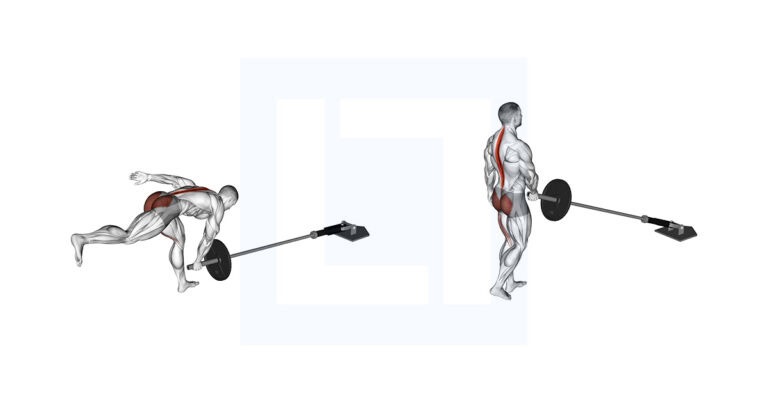 Right Rdl Form Landmine Single Leg RDL Exercise Guide