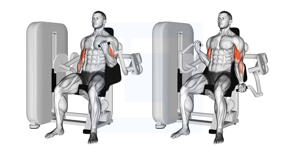Lever Alternate Biceps Curl