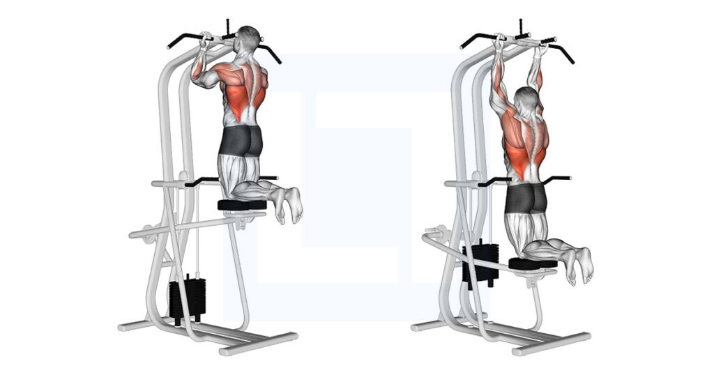 Machine Assisted Machine Assisted Chin Up: Machine Assisted Chin