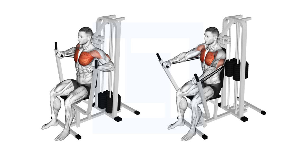 Machine Banded Chest Press: Accommodating Resistance