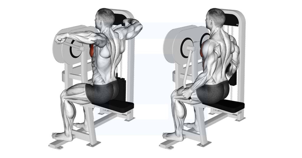 Machine Crossovers: Machine Chest Crossover