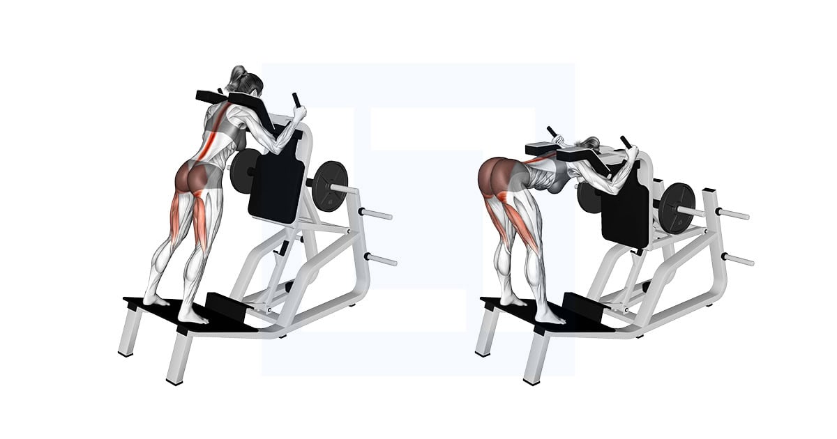 Lever Good Morning on the Hack Squat Machine