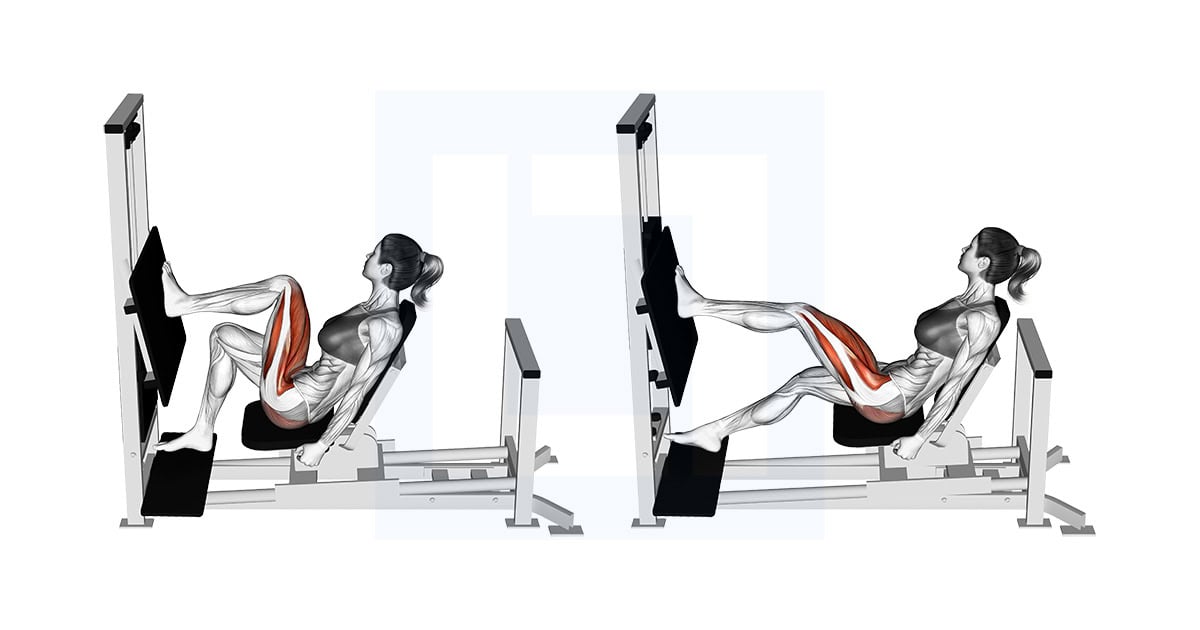 Lever Horizontal One Leg Press