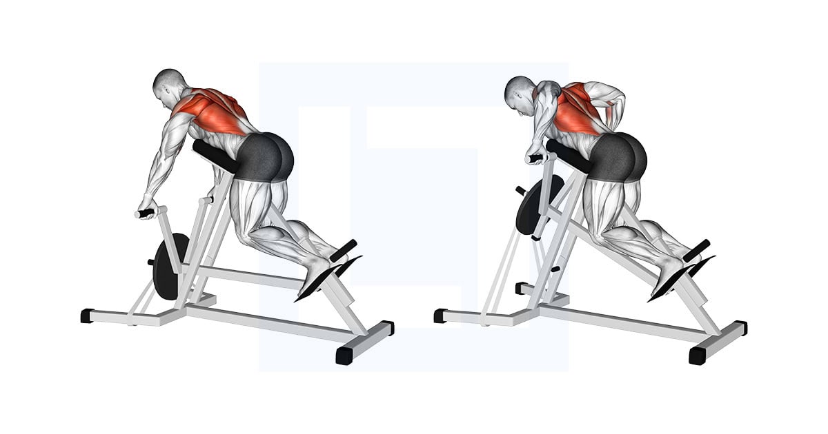 Lever Lying Banded T Bar Row
