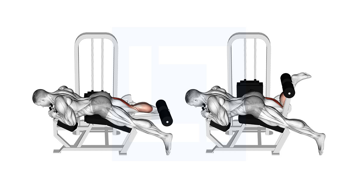 Lever Lying Single Leg Curl