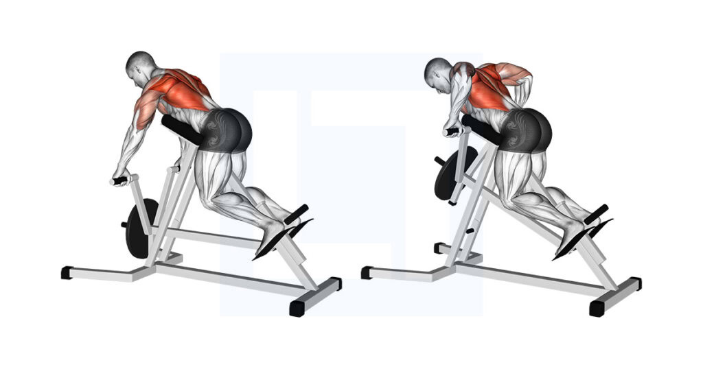 Machine Lying T Bar Row: Chest-Supported Back