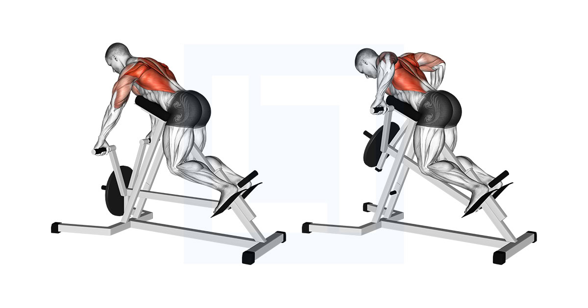 Lever Lying T Bar Row