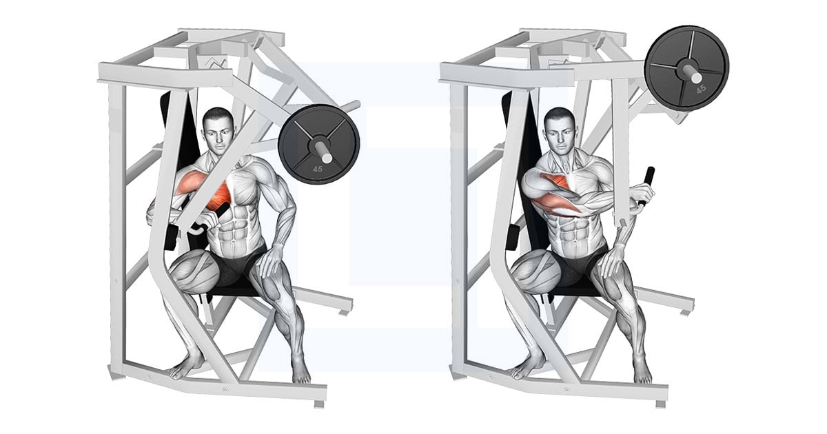 Lever One Arm Side Chest Press