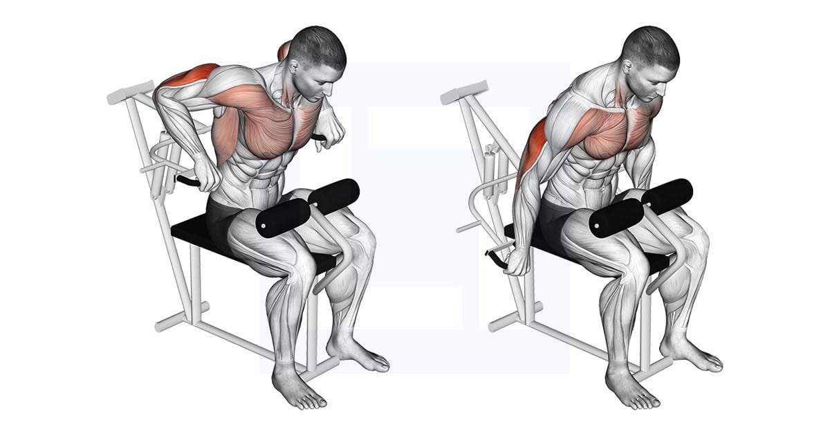 Lever Overhand Triceps Dip