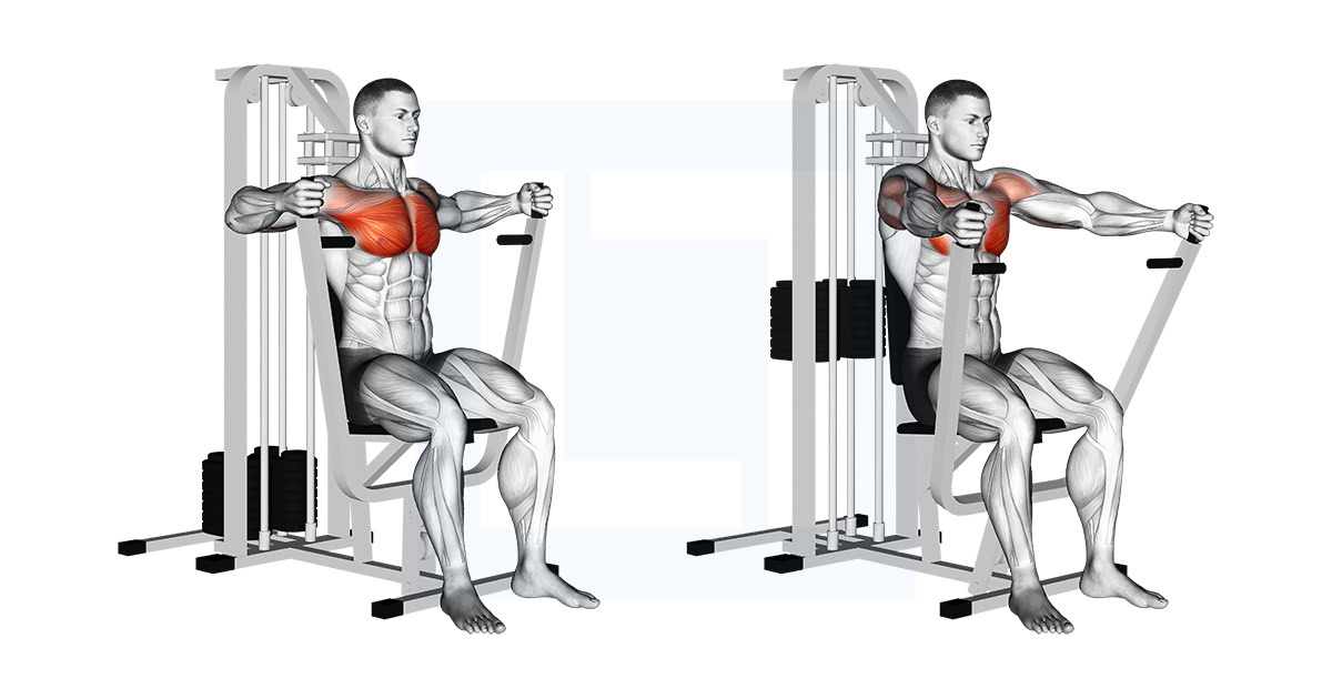 Lever Parallel Chest Press