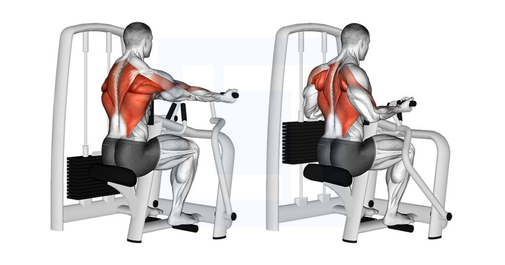 Machine Reverse Grip Vertical Row