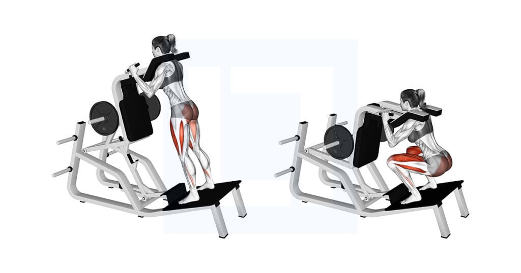 Hack Vertical Reverse Vertical Hack Squat: Reverse Hack