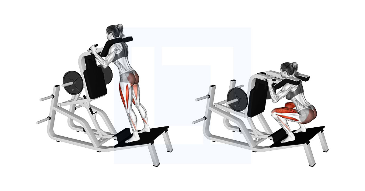 Lever Reverse Vertical Hack Squat