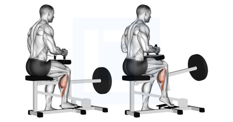 Seated Single Leg Calf Raise