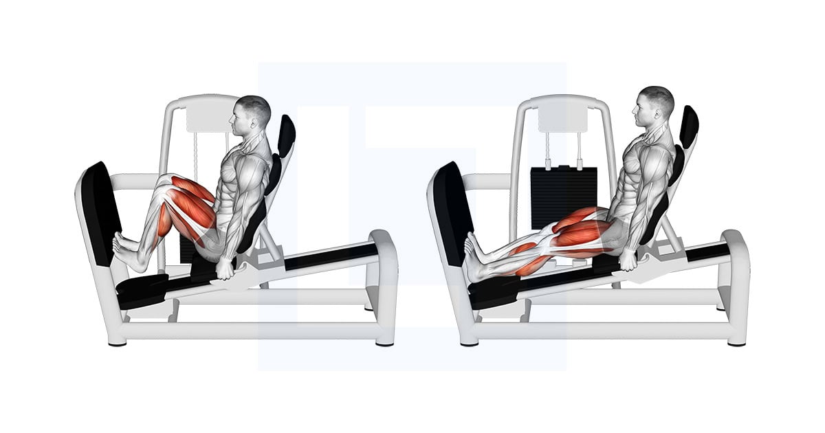 Lever Seated Calf Raise on Leg Press Machine