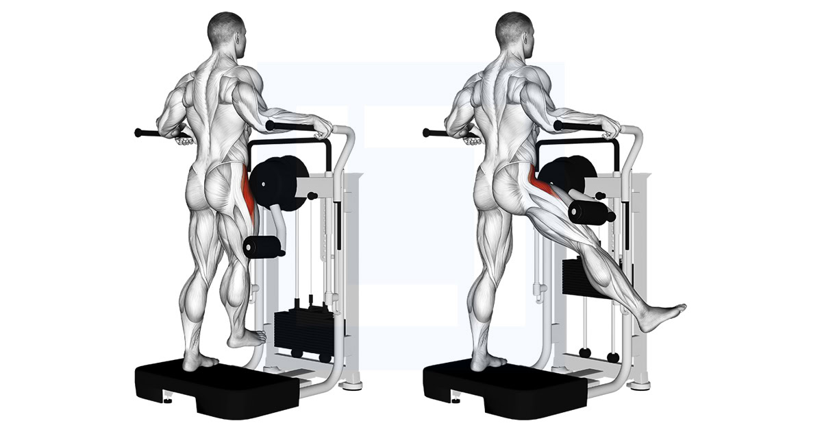 Lever Side Hip Abduction