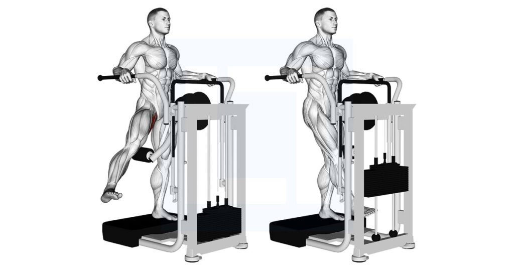 Side Hip Adduction Machine