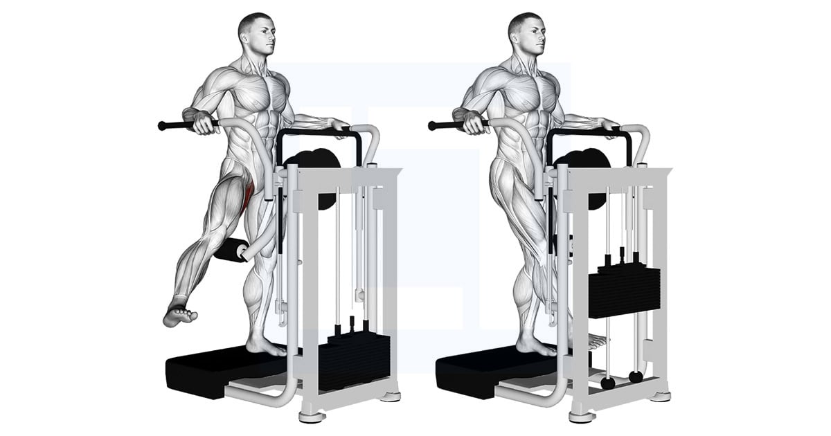 Lever Side Hip Adduction