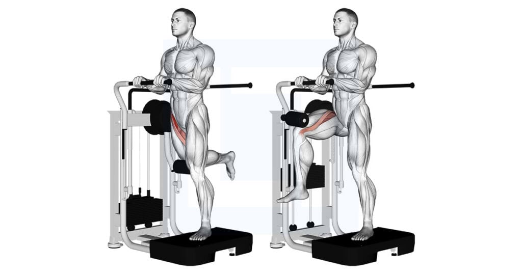 Machine Leg Riase Machine Standing Leg Raise: Loaded Hip Flexion