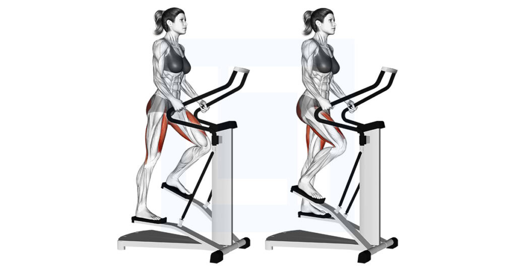 Machine Stepper: Stair Climber Cardio