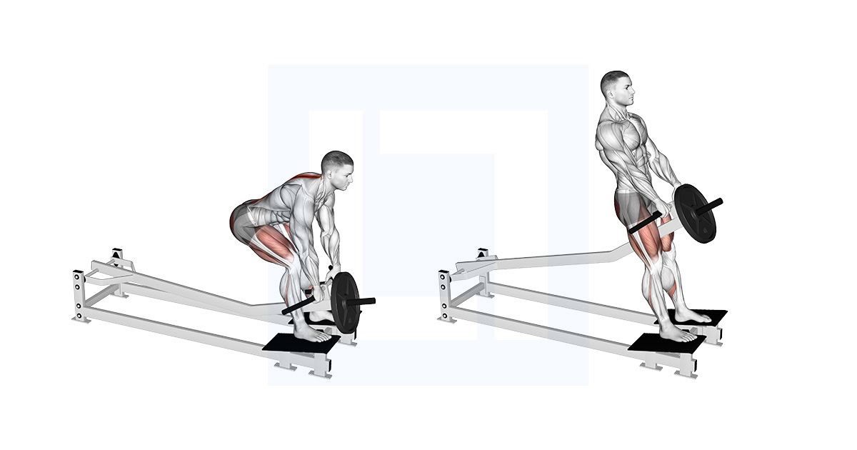 Lever T Bar Romanian Deadlift