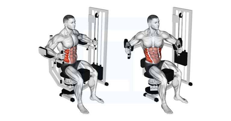 Machine Trunk Rotation: Seated Twist Machine