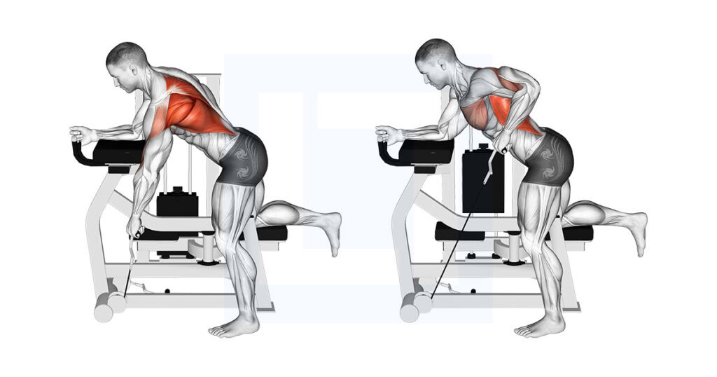 Bodyweoght Rows Bodyweight Row in Doorway: Home Back Move