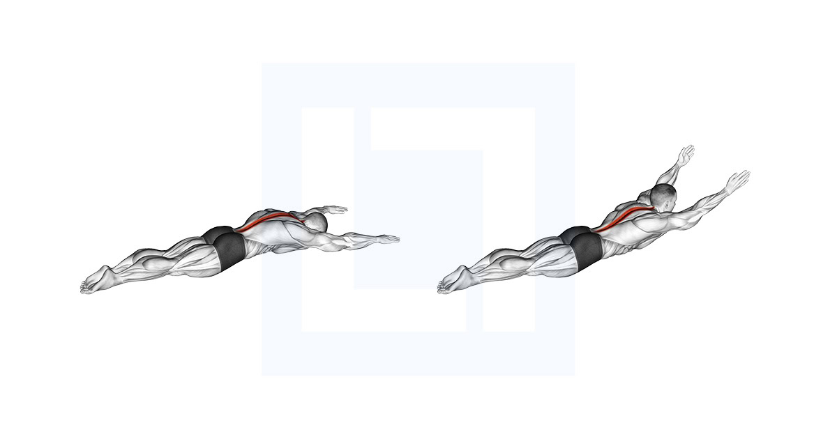 Long Lever Lying Back Extension